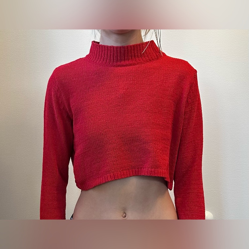 Red sweater crop